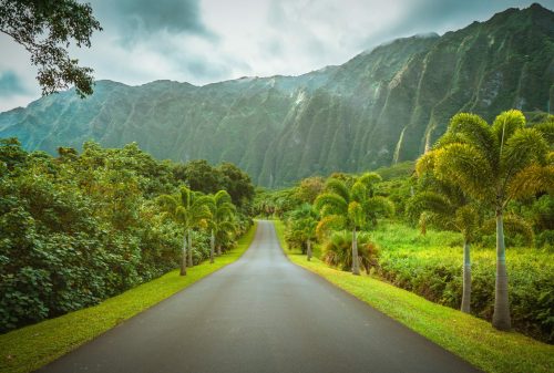 Botanischer Park Ho’omaluhia, Oahu, Hawaii Shutterstock 1833685522 Botanischer Park Hoomaluhia Oahu Hawaii shutterstock 1833685522 500x0 c default
