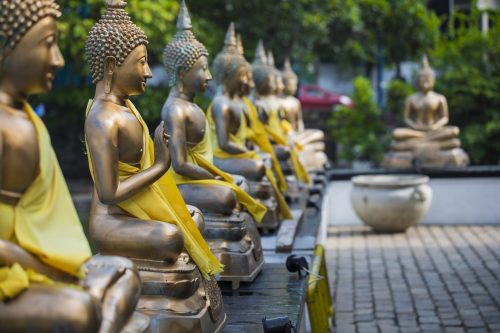 Buddha Statuen In Seema Malaka Tempel, Colombo Shutterstock 535350205 Buddha Statuen in Seema Malaka Tempel Colombo shutterstock 535350205 500x0 c default