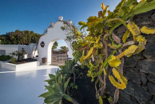 Beautiful,Cactus,At,The,Entrance,To,The,Cesar,Manrique,House CesarManriqueHausmuseum 1045078846 scaled 500x0 c default
