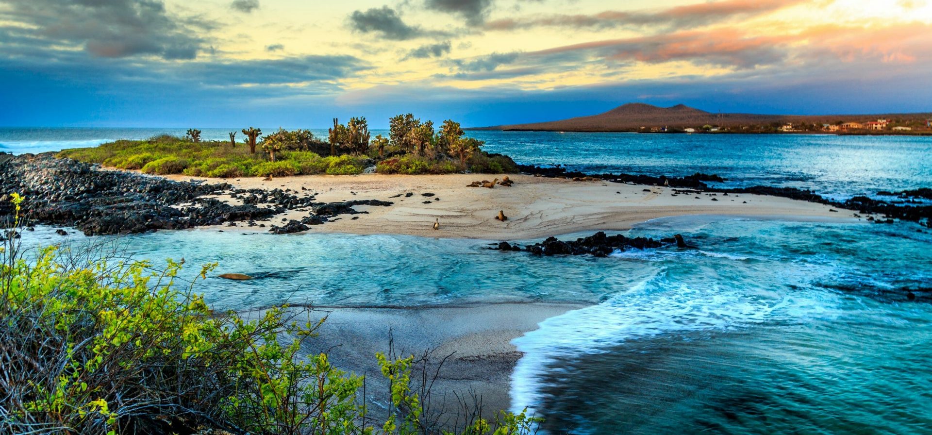 Galapagos Inseln shutterstock 263605307