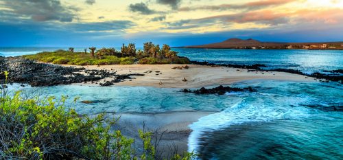 Galapagos Inseln Shutterstock 263605307 Galapagos Inseln shutterstock 263605307 500x0 c default