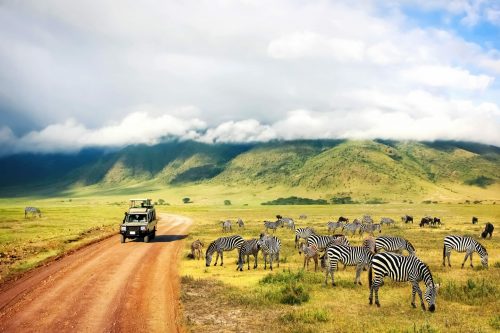 Safari Nationalpark Ngorongoro Tansania Shutterstock 1238975587 1 Safari Nationalpark Ngorongoro Tansania shutterstock 1238975587 1 1 500x0 c default
