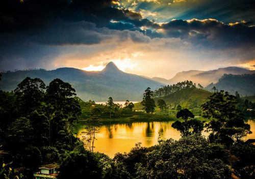 Teeplantagen Bei Sonnenuntergang Sri Pada Gipfel Im Hintergrund Shutterstock 555198655 Teeplantagen bei Sonnenuntergang Sri Pada Gipfel im Hintergrund shutterstock 555198655 500x0 c default