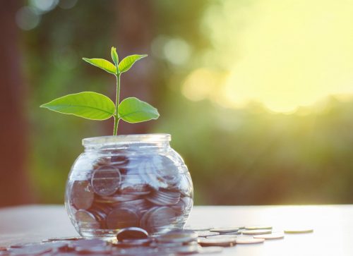 Sprout,Growing,On,Glass,Piggy,Bank,With,Sunset,Light,In Trinkgeld talk 237930475 scaled 500x0 c default