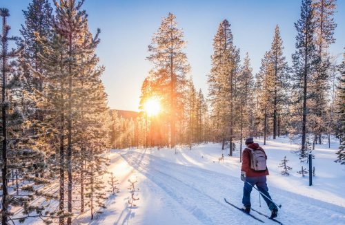 Panoramic,View,Of,Man,Cross Country,Skiing,On,A,Track,In shutterstock 1227588982 scaled 500x0 c default