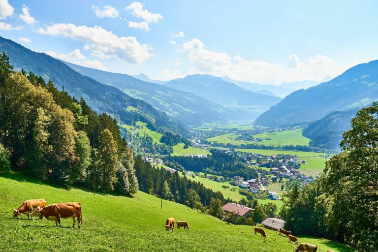 Shutterstock 1336343717 2 shutterstock 1336343717 2 scaled