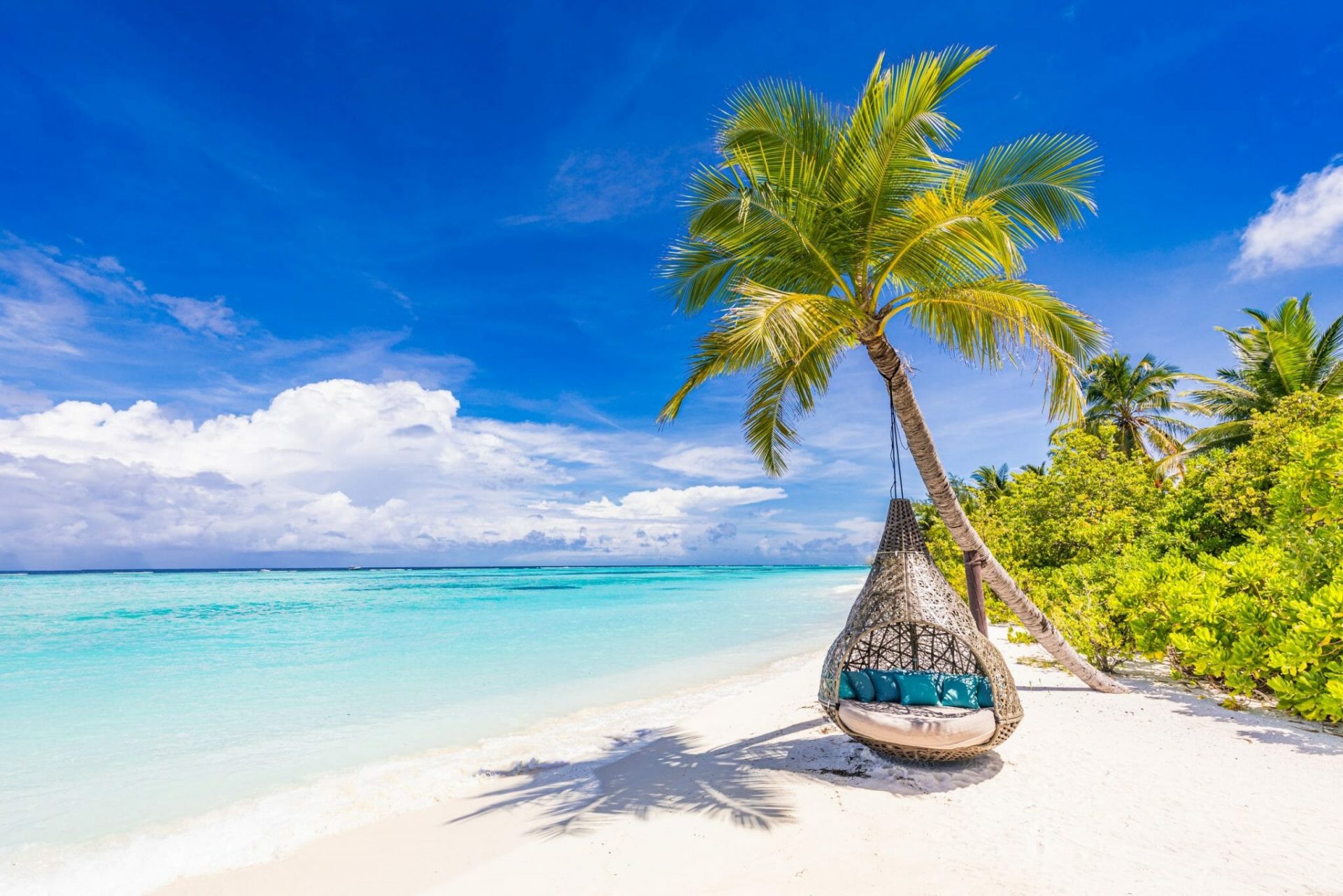 shutterstock 1499547938 1 scaled
