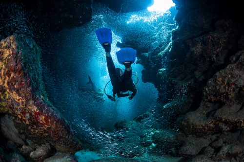 A,Diver,Explores,The,Cracks,,Crevices,And,Holes,In,A shutterstock 193894589 scaled 500x0 c default