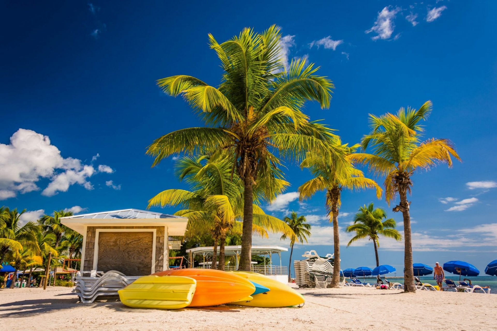 Palm,Trees,On,The,Beach,In,Key,West,,Florida. shutterstock 231696448 scaled