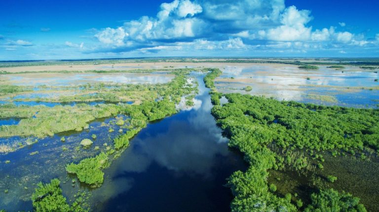 Aerial,Sunset,View,Of,Everglades,Swamp,In,Florida. shutterstock 406542415 scaled