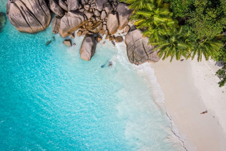 Tropical,Beach,With,Sea,And,Palm,Taken,From,Drone.,Seychelles shutterstock 428018086 scaled