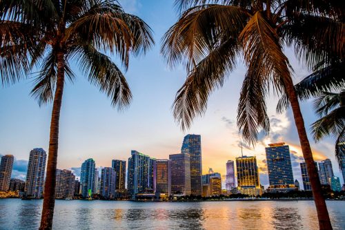 Miami,,Florida,Skyline,And,Bay,At,Sunset,Seen,Through,Palm shutterstock 428711317 500x0 c default