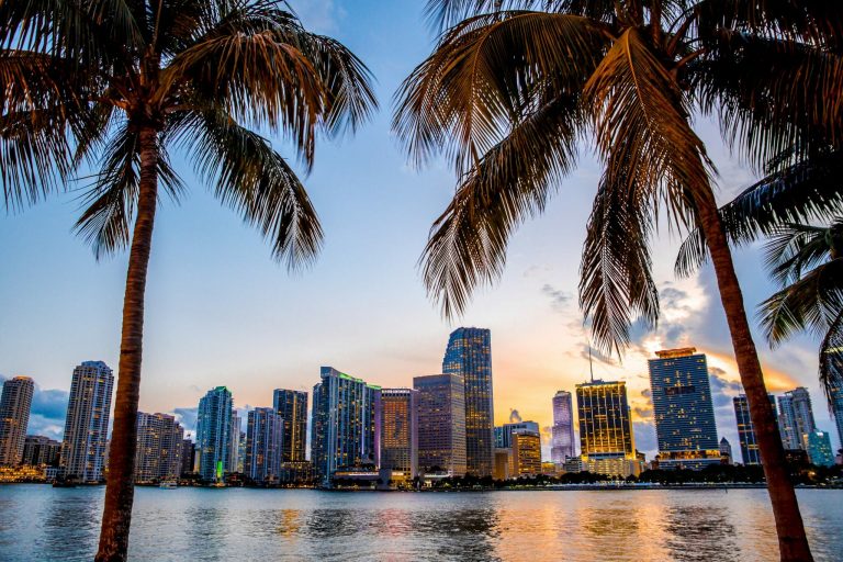 Miami,,Florida,Skyline,And,Bay,At,Sunset,Seen,Through,Palm shutterstock 428711317
